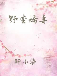 野蛮娇妻