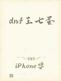 dnf王七蛋