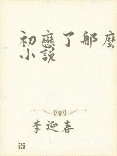 初恋了那么多年小说