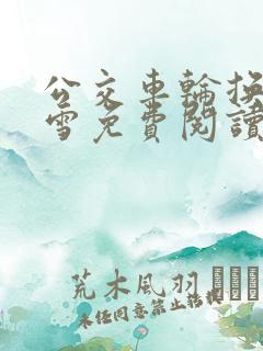 公交车轮换C程雪免费阅读