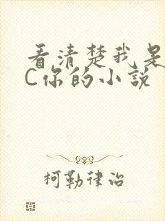 看清楚我是怎么C你的小说