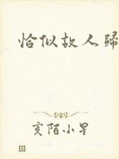 恰似故人归小说