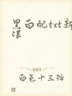 黑白配txt新浪