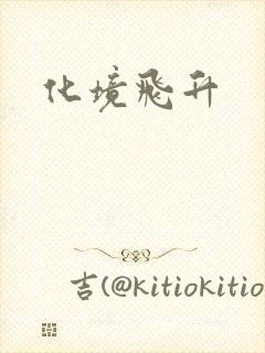 化境飞升
