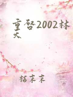 重启2002林天