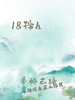 18号h