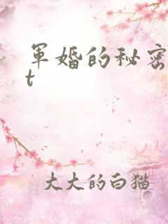 军婚的秘密txt