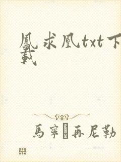 凤求凰txt下载