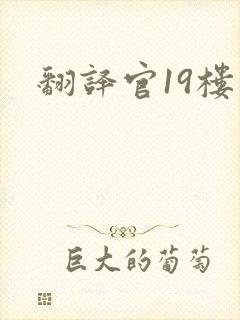 翻译官19楼