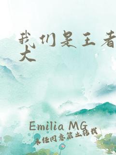 我们是王者立海大