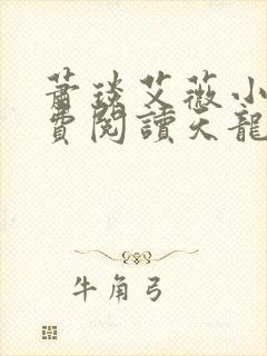 萧琰艾薇小说免费阅读天龙殿