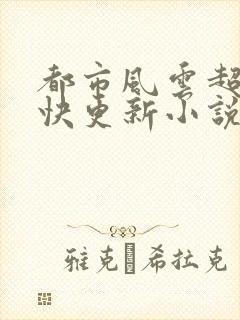 都市风云超前超快更新小说