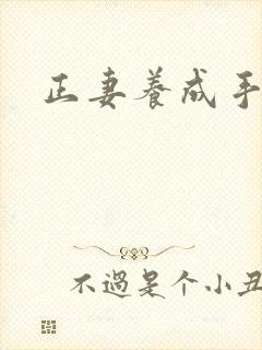 正妻养成手册
