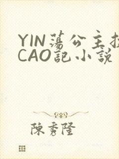 YIN荡公主挨CAO记小说