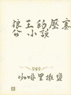 狼王的压寨小相公 小说