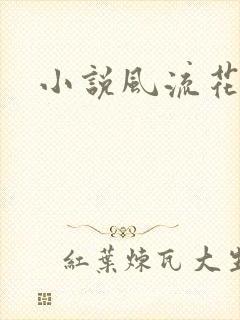 小说风流花少