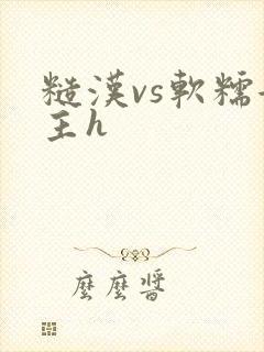 糙汉vs软糯女主h