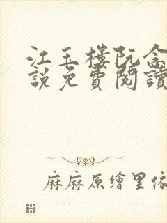 江玉楼阮念笙小说免费阅读