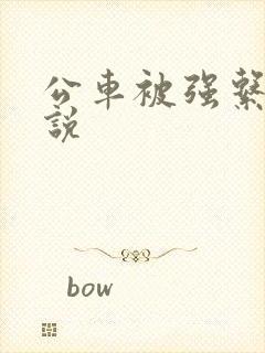 公车被强系列小说