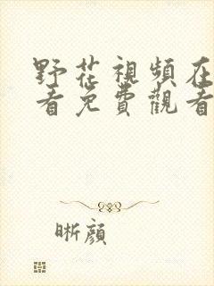 野花视频在线观看免费观看最新章节