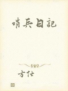 哨兵日记