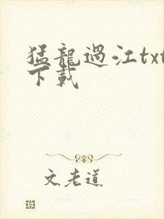 猛龙过江txt下载