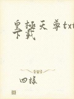 皇极天尊txt下载