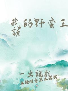 我的野蛮王妃小说