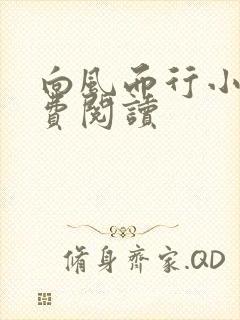 向风而行小说免费阅读