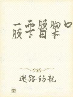 一面膜胸口一面膜下日本