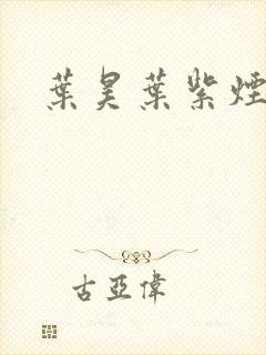 叶昊叶紫烟小说