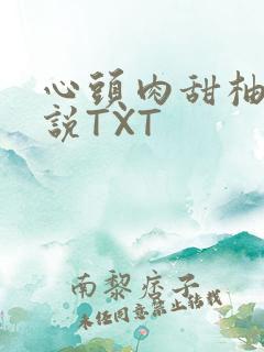 心头肉甜柚子小说TXT