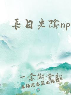长日光阴np