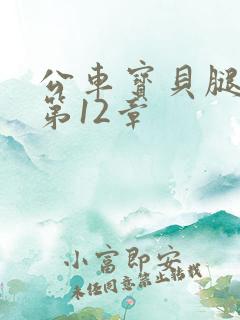 公车宝贝腿开点第12章