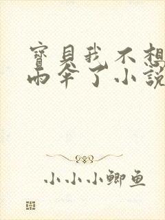 宝贝我不想带小雨伞了小说