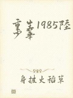 重生1985陆少华