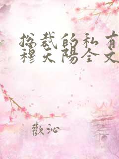 总裁的私有宝贝穆天阳全文阅读