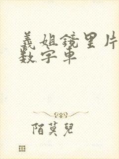 义姐镜里片微博数字车