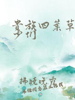 贵族四叶草的恶少们