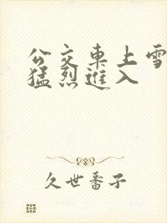 公交车上雪柔被猛烈进入