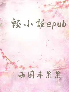 轻小说epub