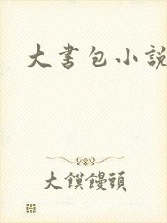 大书包小说