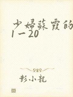 少妇苏霞的沉沦1一20