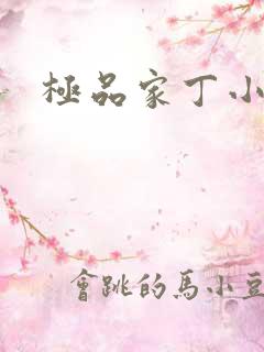 极品家丁小说