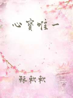心宝唯一