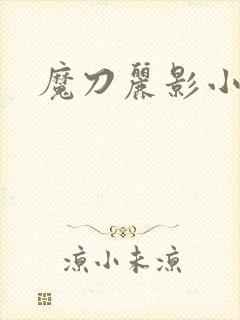 魔刀丽影小说