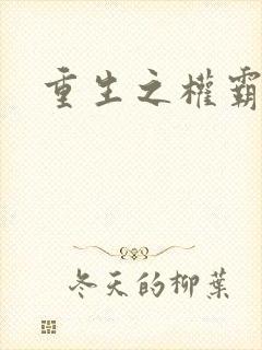 重生之权霸天下
