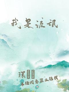我是流氓