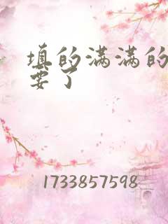 填的满满的 不要了