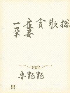 一夜贪欢总裁幸孕妻